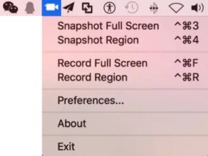 screen grabber pro