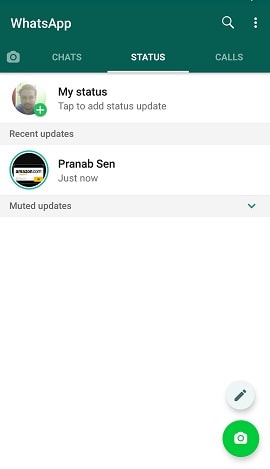 see whatsapp status