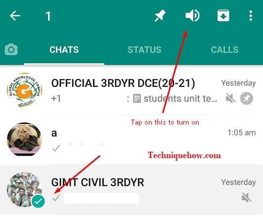unmute group