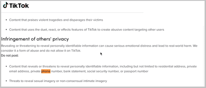 tiktok guidelines