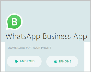 WhatsApp business app