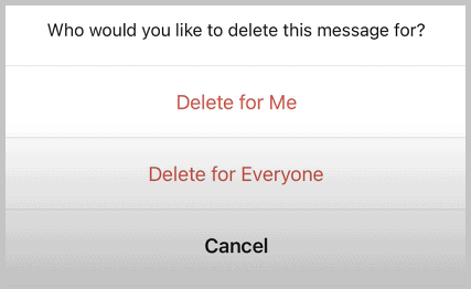 delete message for everyone