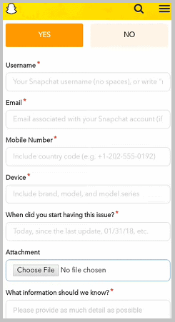 fill snapchat form