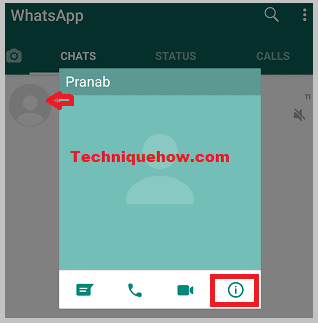 view_WhatsApp-contact