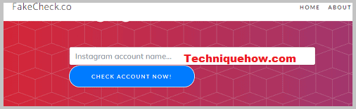 fake check tool