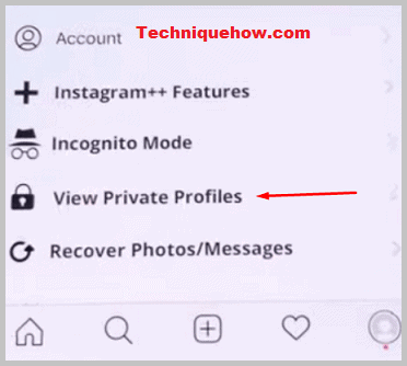 instagram++ view private profiles