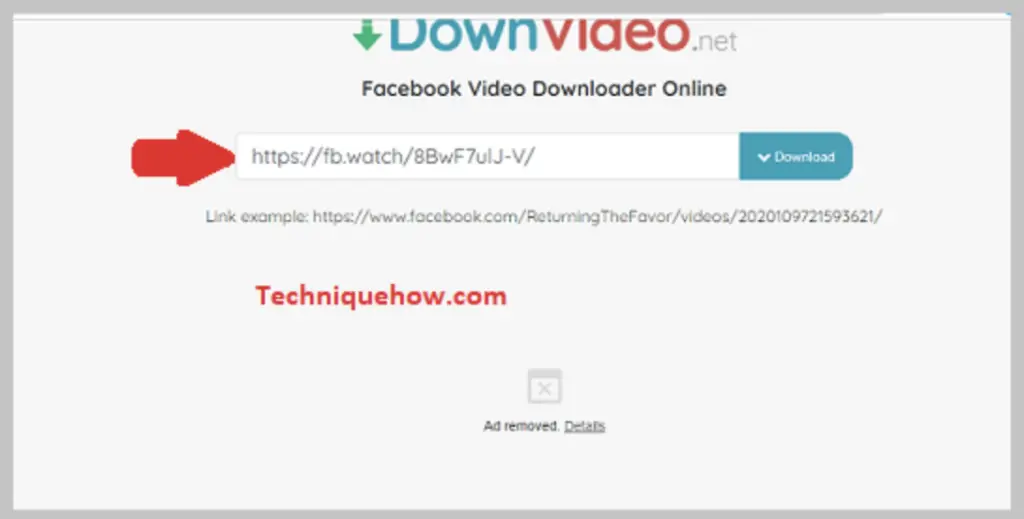 downvideo.net tool
