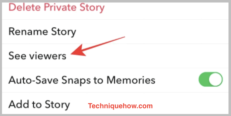 snapchat story viewers