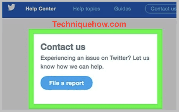 twitter contact support