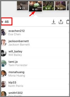 IG story viewer
