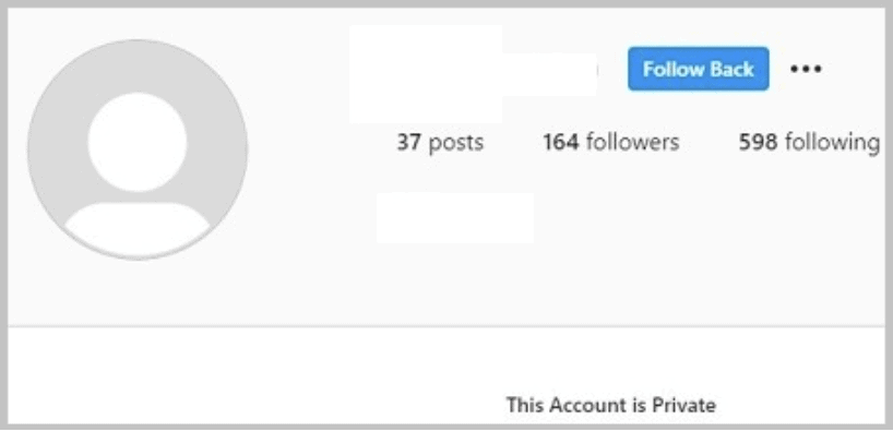 instagram account lookup