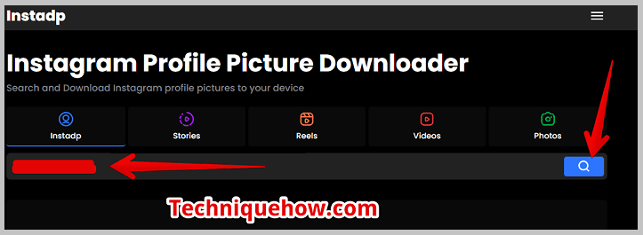 click on the search button