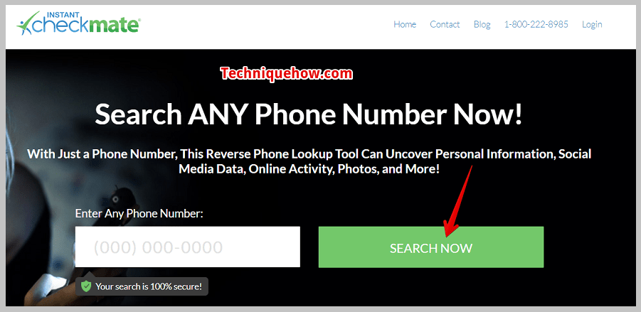 Click on Search Now