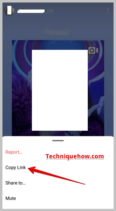 Copy Link & Open Anonymously