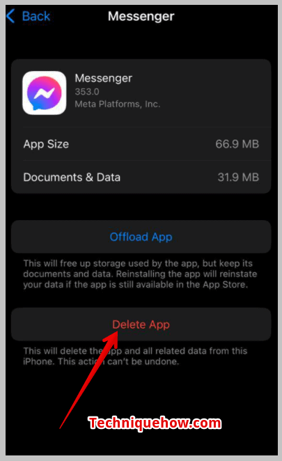 tap on Delete Data for the App