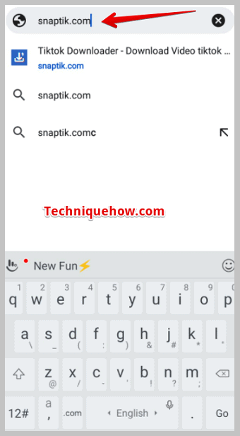 Snaptik.com
