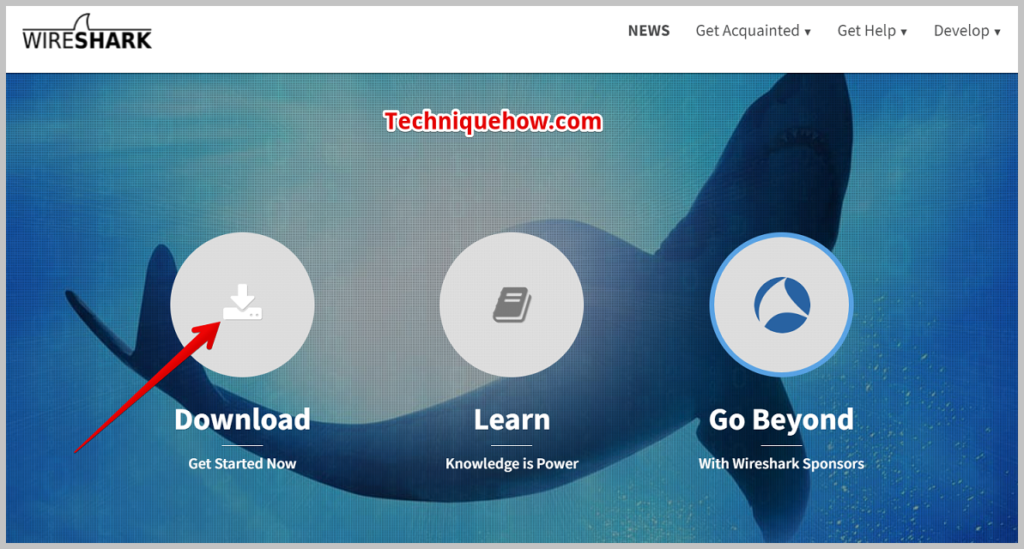download the application