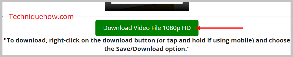Download Video File