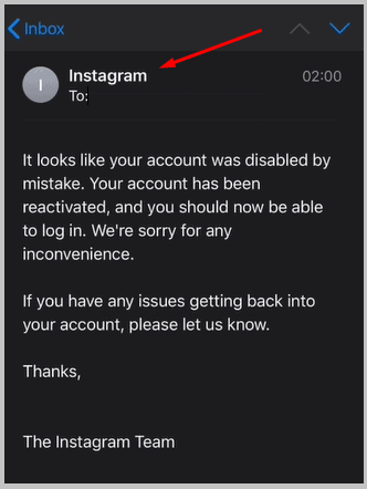 Instagram Email Reply
