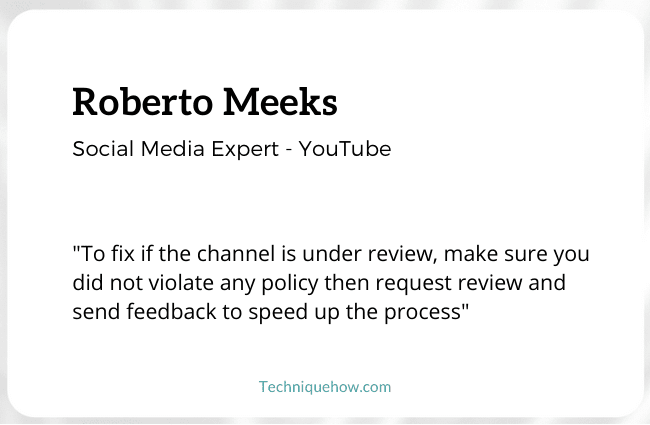 Expert Statement