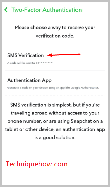 Text Verification