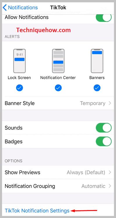 Click on TikTok Notifications Settings