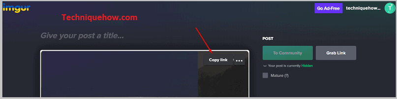Click to Copy Link