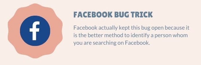 Facebook Bug Trick