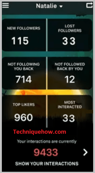 Install IG Reports + Follower Analyzer