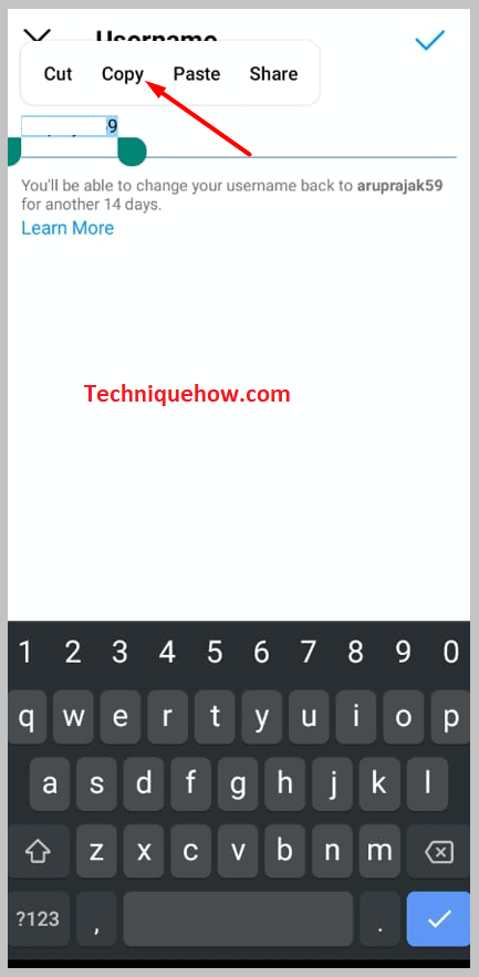 click on Copy username