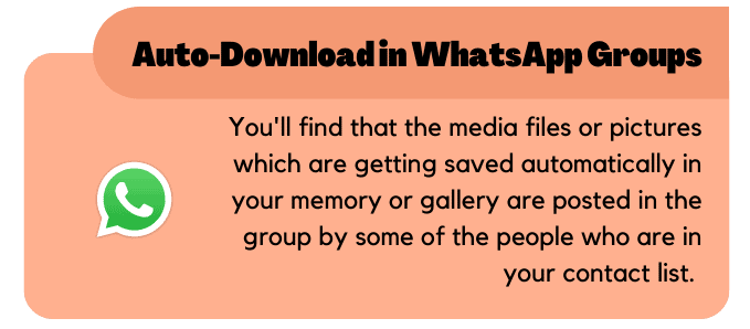Auto-Download in WhatsApp Groups