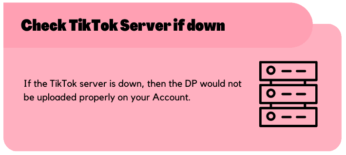 Check TikTok Server if down