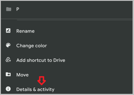 Details-Google-drive