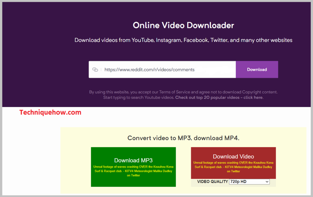 Download button to download and save the video 