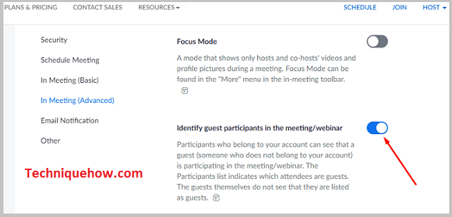 Enable  Identify guest participants in the meeting webinar