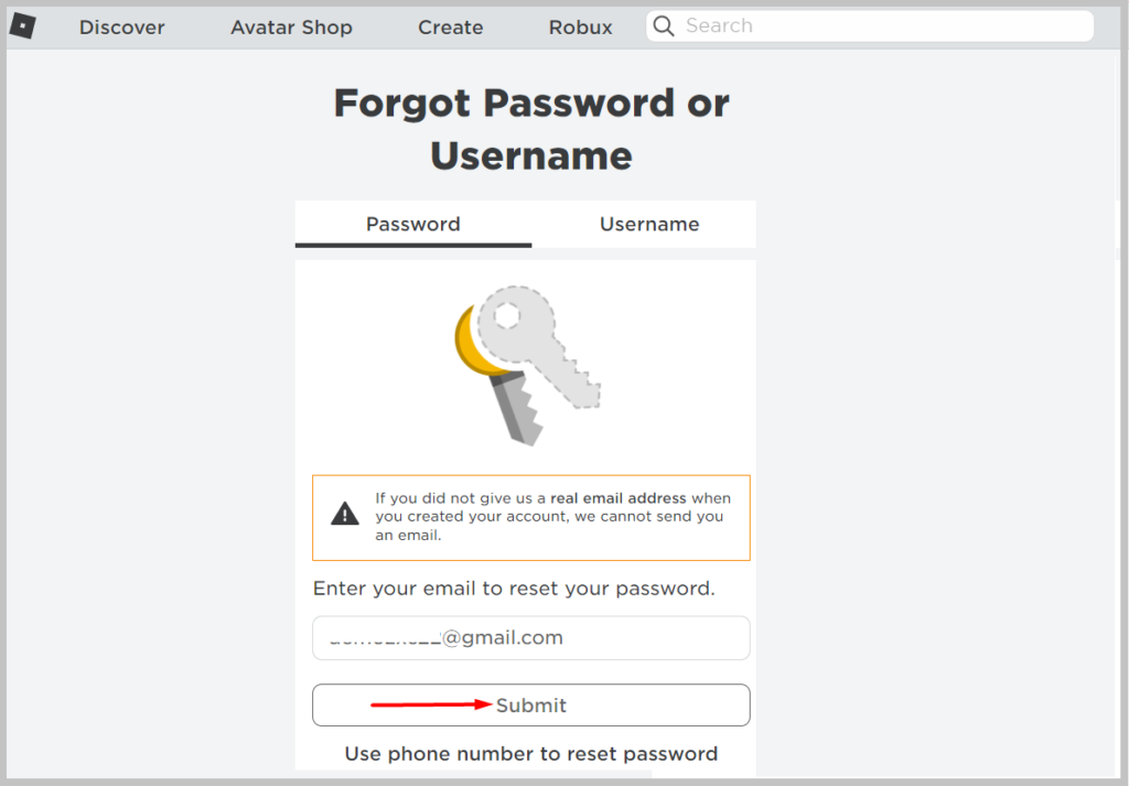 Enter your Registered Email in the Email box flashing