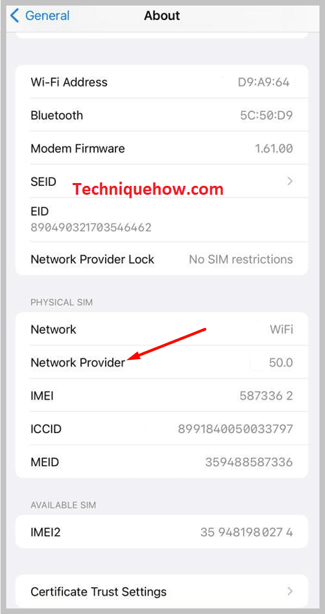 If you want to see the version of your carrier settings