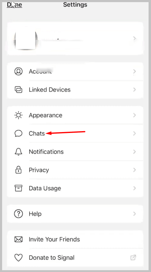 Open profile from the dialogue box and tap on chats.