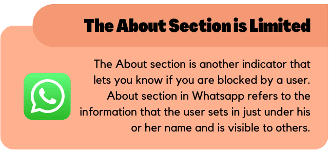 The About Section is Limited