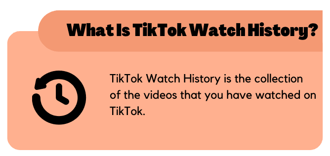 What is TikTok Watch History