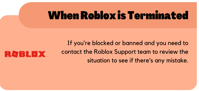 When Roblox is Terminated