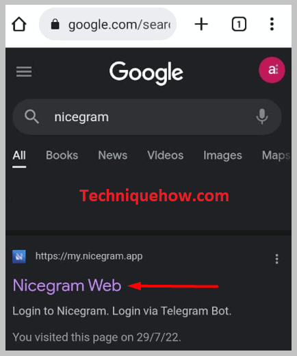 visit the Nicegram website on iPhone