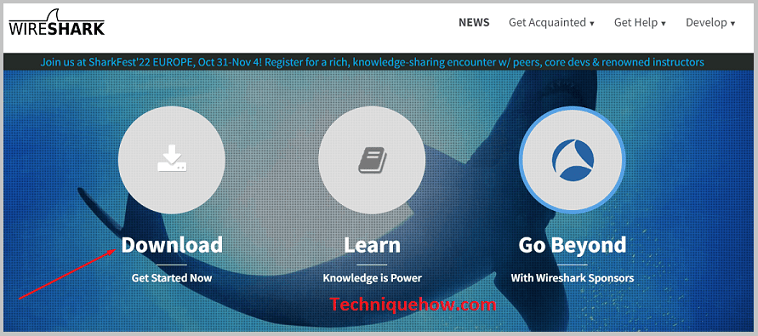 Click on Download