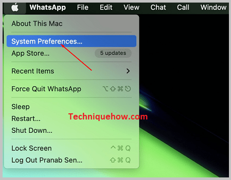 Click on System Preferences