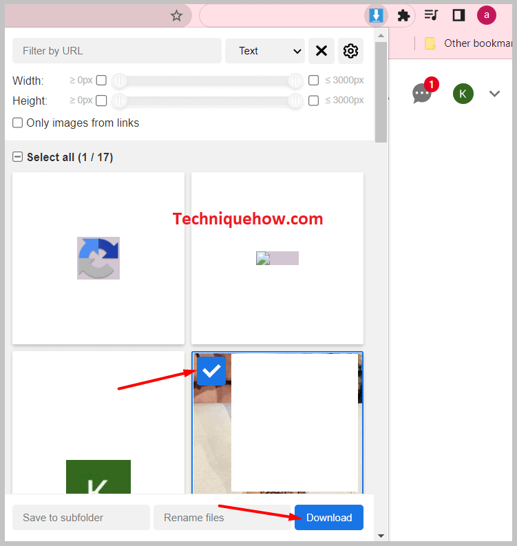 Click on the extension and the 'Download' button