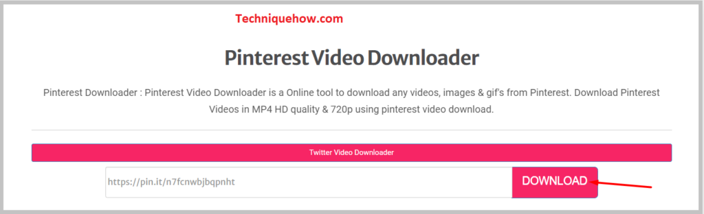 Pinterest Video Downloader and paste the link