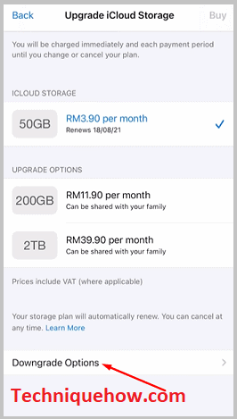 tap the Downgrade Options