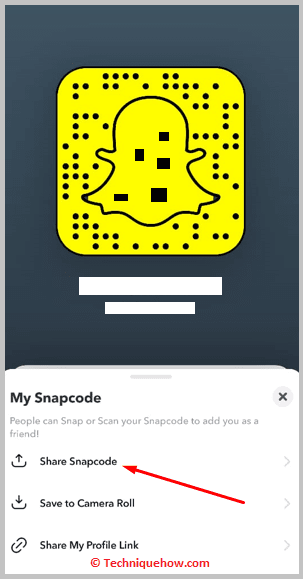 Share Snap Code