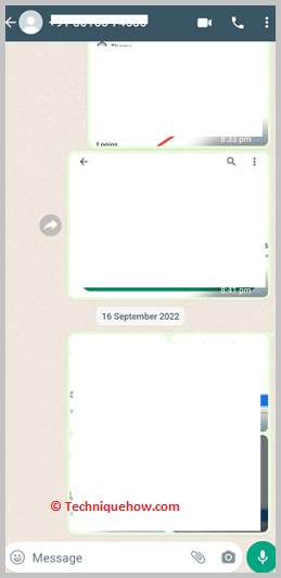 WhatsApp chat section