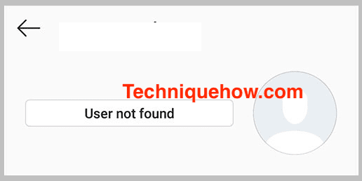 Profile Shows User Not Found